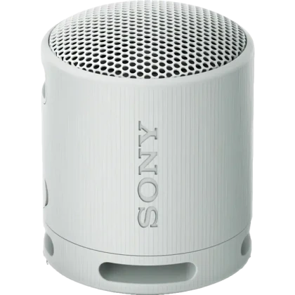 Портативная колонка SONY XB100, Светло-серый
