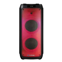 Портативная колонка BLAUPUNKT PB10DB, Чёрный
