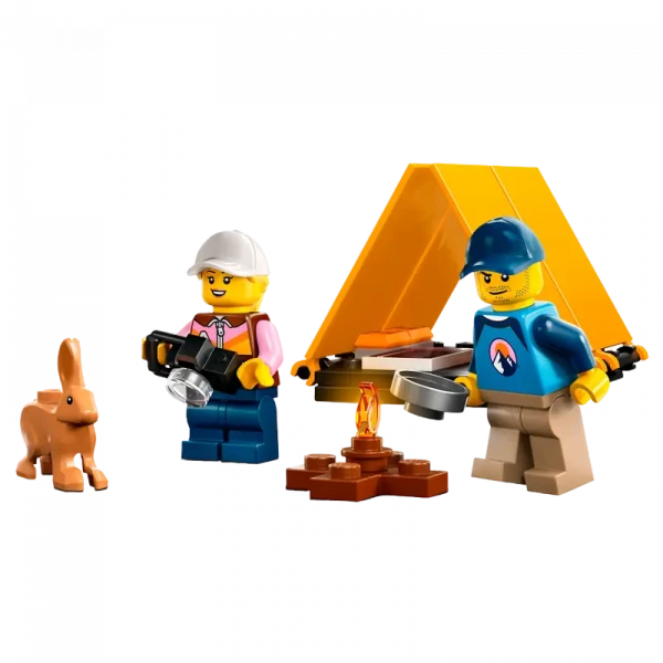 Конструктор LEGO 60387, 6+