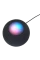 Умная колонка Apple HomePod mini, Серый