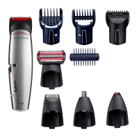 Мужской Триммер BaByliss E837E, Серебристый