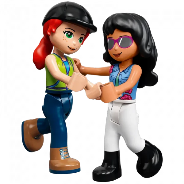 Конструктор LEGO 41683, 7+