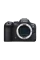 Aparat Foto Mirrorless Canon EOS R6 MARK II BODY V2.4GHz