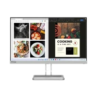 Монитор Lenovo L24i-40 / 23,8 дюймов / IPS 1920x1080 FHD / Cloud Grey