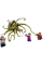 Constructor LEGO 76205, 8+