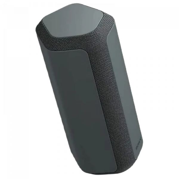Портативная колонка SONY SRS-XE300, Чёрный
