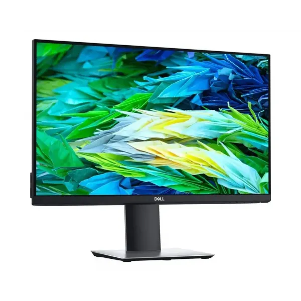 Monitor P2421D / 23,8 inchi / IPS 2560 x 1440 QHD / Negru