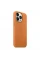 Husă Apple iPhone 13 Pro Max, Maro Auriu