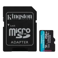 Card de Memorie Kingston Canvas Go! Plus, 256GB (SDCG3/256GB)