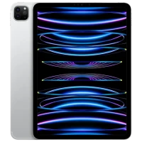 Планшет Apple iPad Pro 11-inch (4th gen) A2761, WiFi + Cellular, 8Гб/256Гб, Серебристый