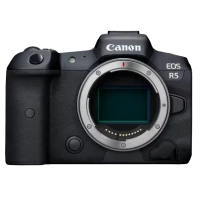 Aparat Foto Mirrorless Canon EOS R5 V2.4 GHz