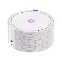 Difuzor Inteligent Yandex YNDX-0004, Argintiu