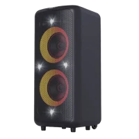 Boxă portabilă F&D PA300, Negru