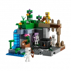 Constructor LEGO 21189, 8+