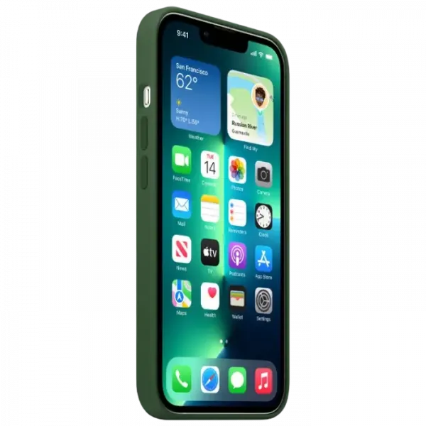 Чехол Apple iPhone 13 Pro Max, Clover