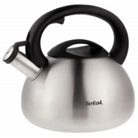 Ceainic Tefal C7921024, 2,5L, Argintiu