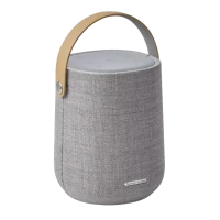 Портативная колонка Harman Kardon Citation 200, Серый