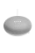 Difuzor Inteligent Google Nest Mini (2nd Gen), Alb