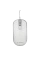 Mouse Gembird MUS-4B-06-WS, Alb/Argintiu