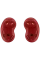Căști Samsung Galaxy Buds Live, Roșu