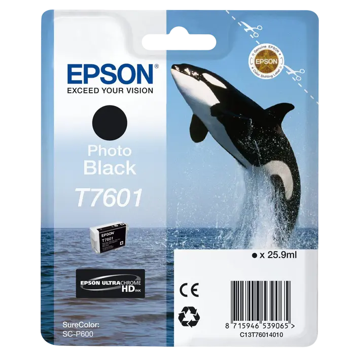 Картридж чернильный Epson T760, 26мл, Черный фото