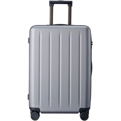 Valiză NINETYGO Danube luggage 24, 62L, Grey