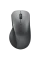 Мышь Lenovo 4Y51J62544, Storm Grey