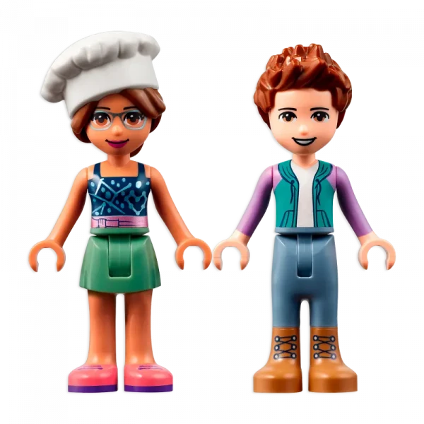 Constructor LEGO 41705, 5+