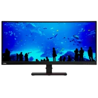 37 Монитор Lenovo T34w-20, VA 3440x1440 WQHD, Чёрный
