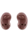 Căști Galaxy Buds Live, Bronz