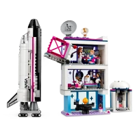 Конструктор LEGO 41713, 8+