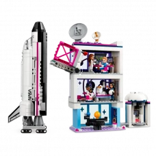 Constructor LEGO 41713, 8+