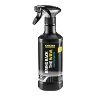 Detergent pentru eliminarea urmelor de insecte RM 618, 500 ml Karcher 6.295-761.0