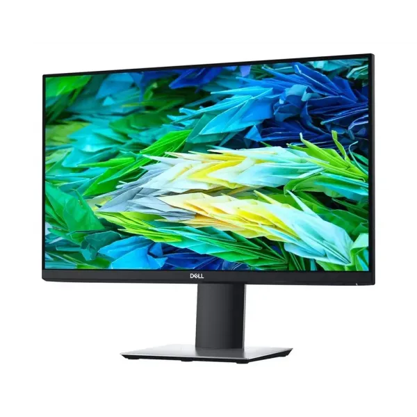 Monitor P2421D / 23,8 inchi / IPS 2560 x 1440 QHD / Negru