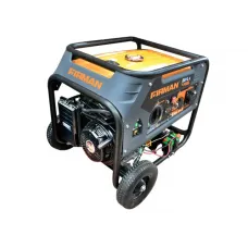 Generator RD7910EX Benzină/Propan 4 kW 220 V FIRMAN