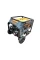 Generator RD7910EX Benzină/Propan 4 kW 220 V FIRMAN